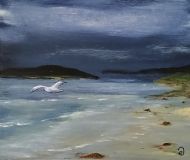 Strand - zee -meeuw