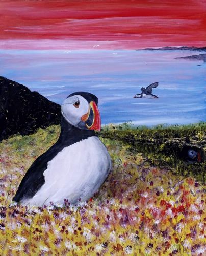 Puffin - Zee