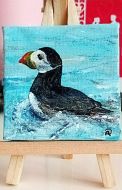 Puffin - Zee