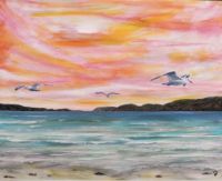 Meeuw - Strand - Bergen