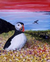 Puffin - Zee