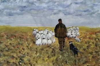 Herder